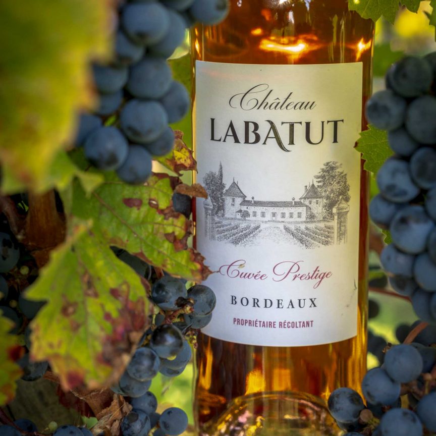 Bouteille de vin rosé dans les vignes